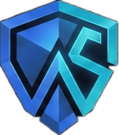 TheWebSolve Executive Leadership